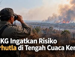 BMKG Ingatkan Risiko Karhutla di Tengah Cuaca Kering