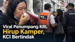 Jepang vs India Buka Babak Baru Kriket Asia